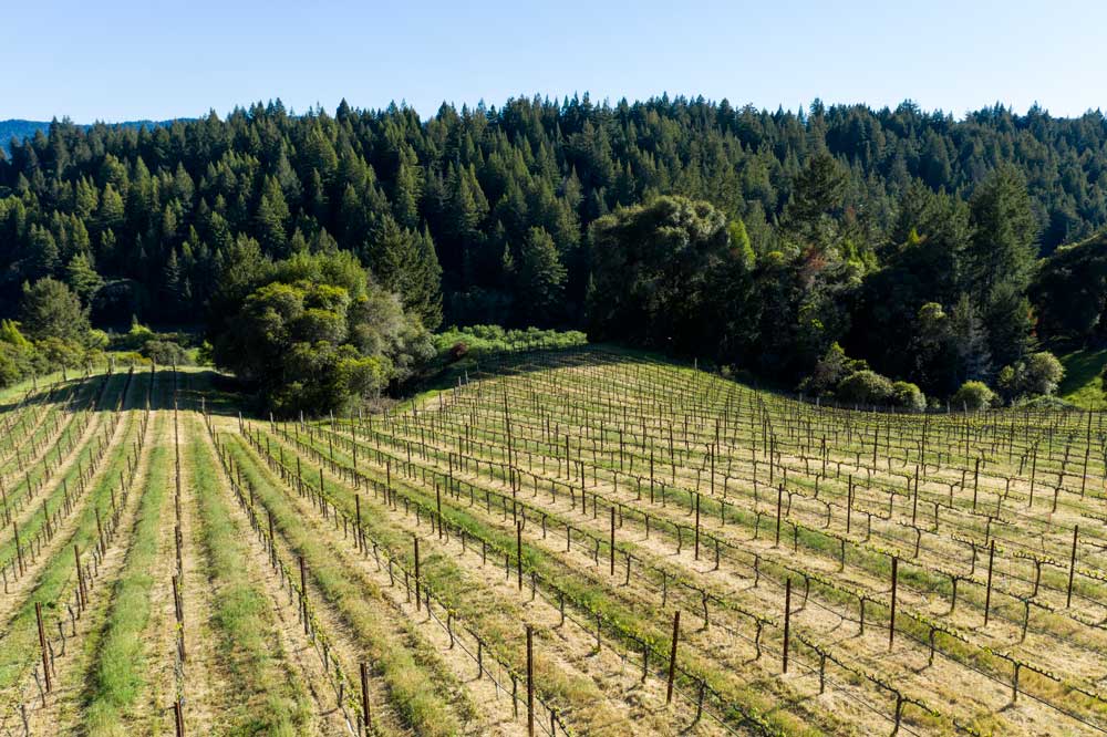 Media & Trade Cobb Wines