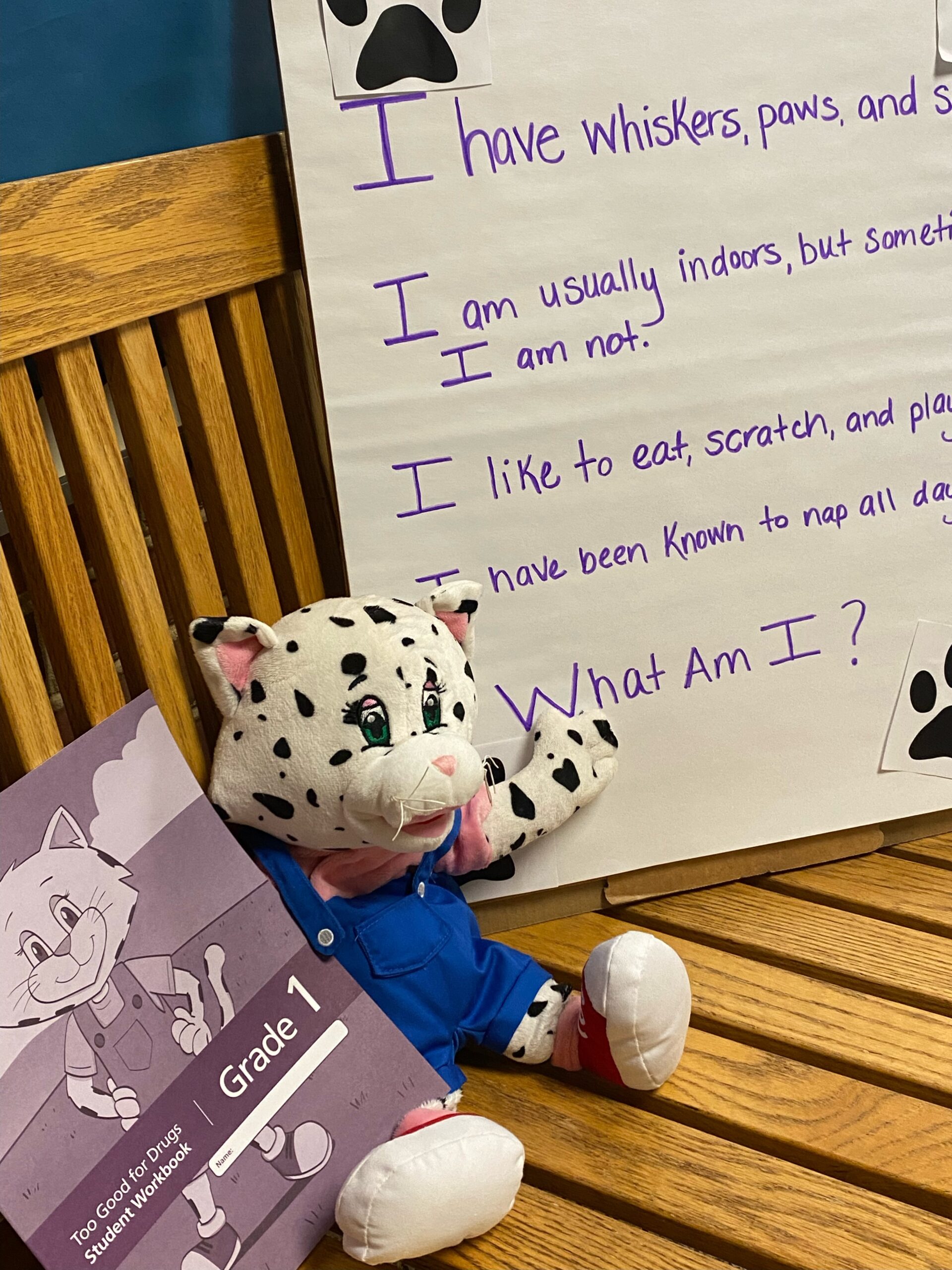 Too Good For Drugs 1st & 2nd Grades Council on Chemical Abuse Your Bridge to Addiction