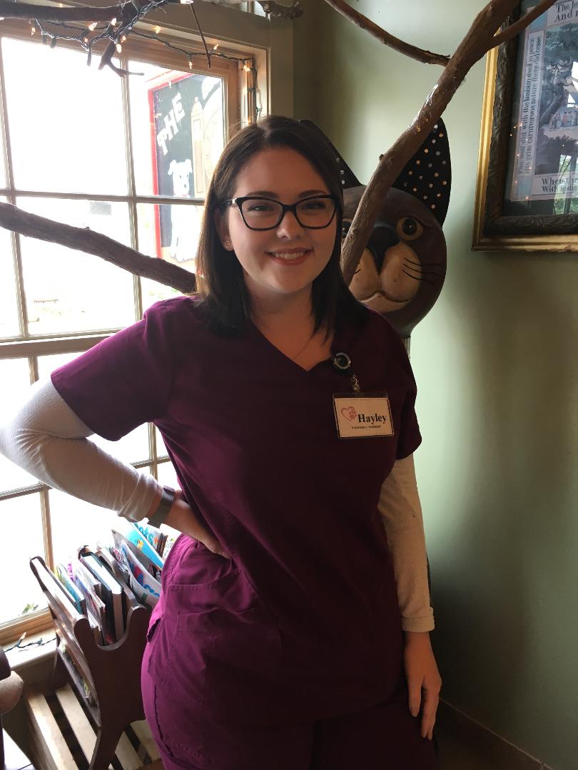 Our Team | The Cocalico Cat and Gingham Dog Animal Hospital