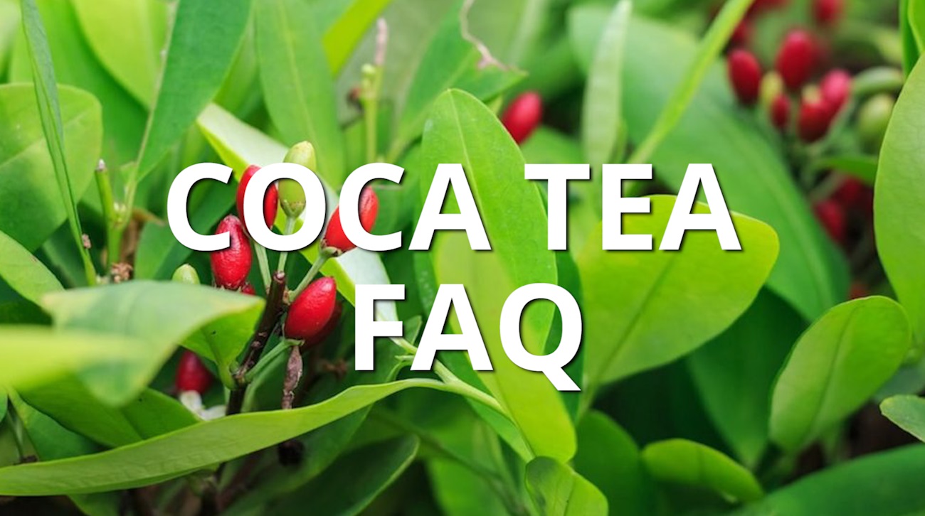 COCA TEA FAQ Coca Tea Express Coca Leaf Tea USA & Australia