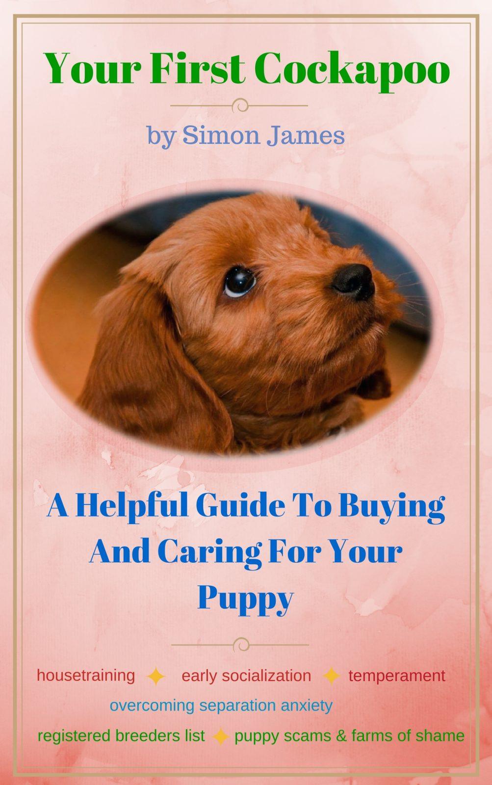 Cockapoo Rescue North East