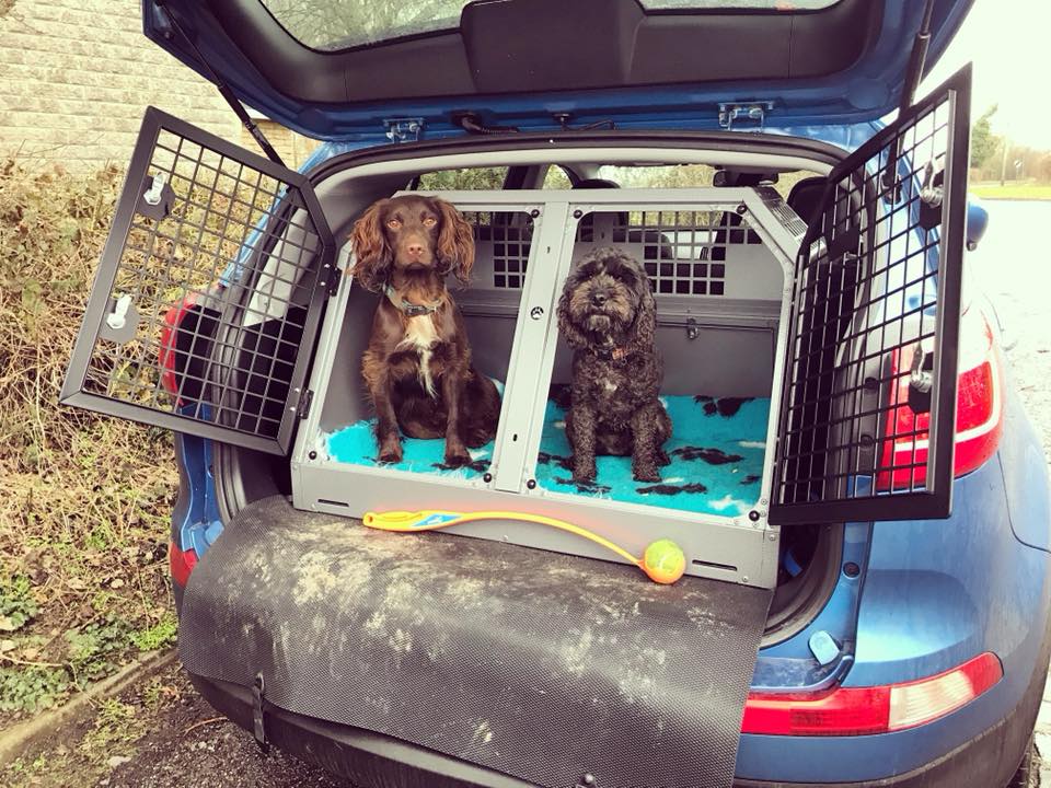 Dog Crating How To Successful Crate Your Cockapoo Cockapoo For Life