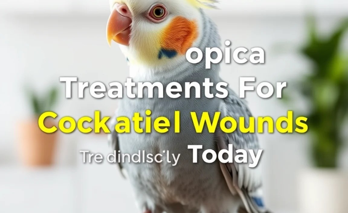 Application Techniques for Maximum Effectiveness