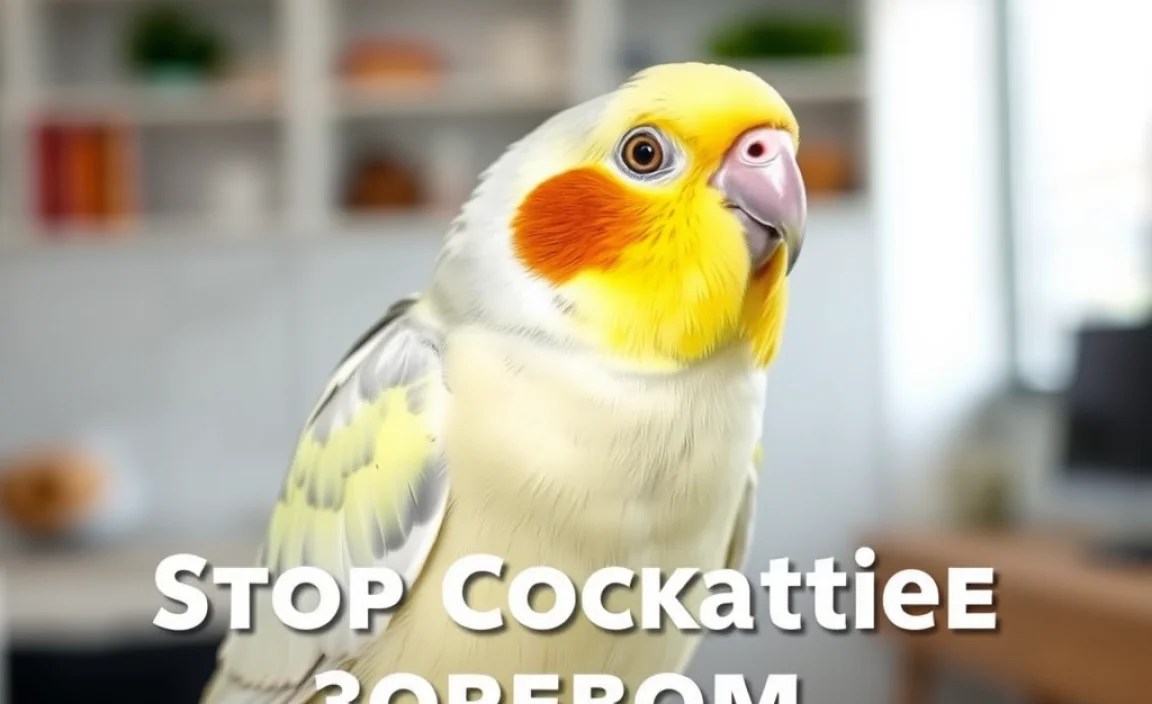 Creating a Stimulating Environment