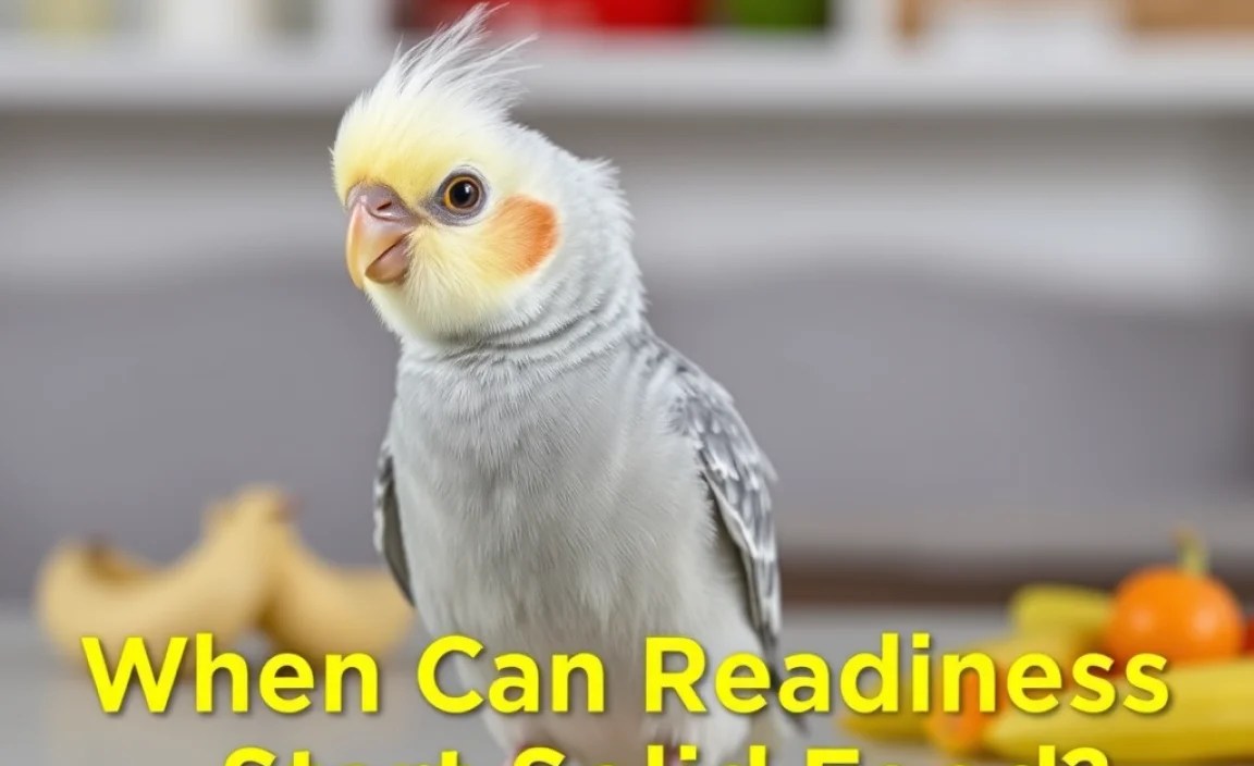 Determining Readiness for Solid Food