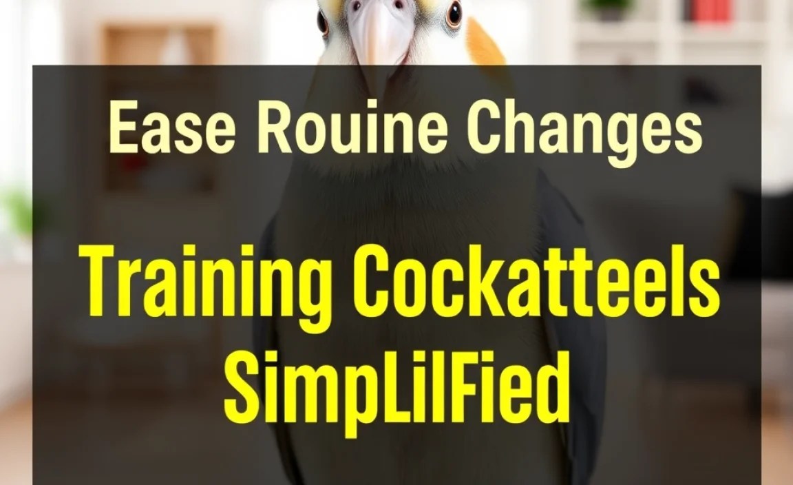 Ease Routine Changes: Training Cockatiels Simplified