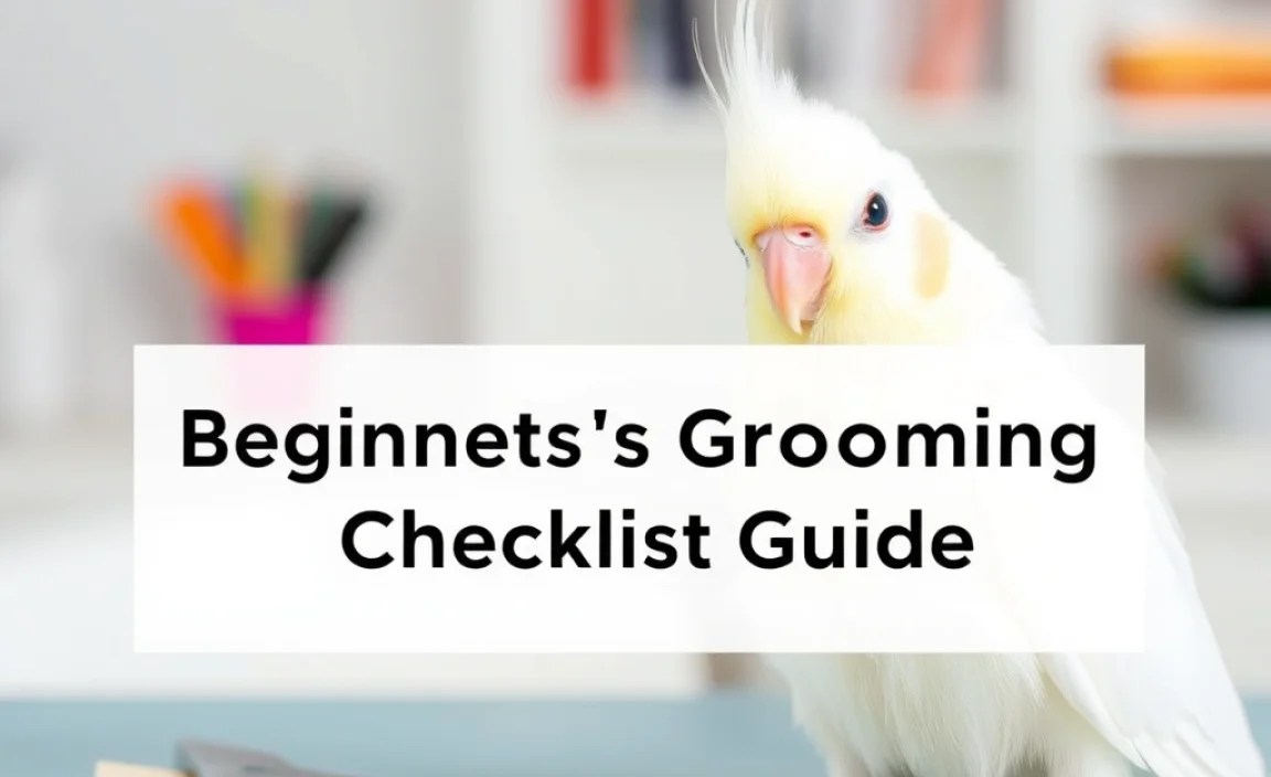 Essential Grooming Tools