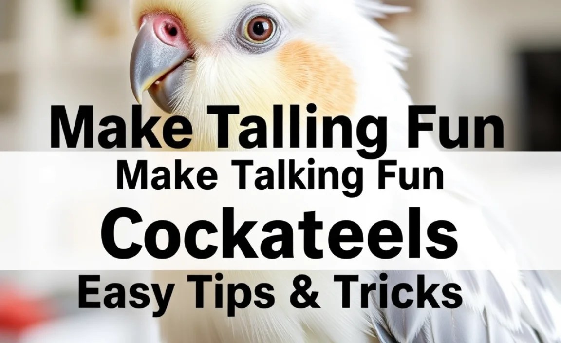 Make Talking Fun For Cockatiels: Easy Tips & Tricks