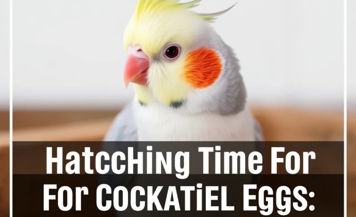 Nesting and Egg Laying