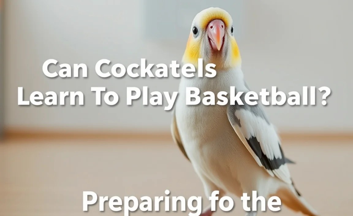 Preparing for the Training Process