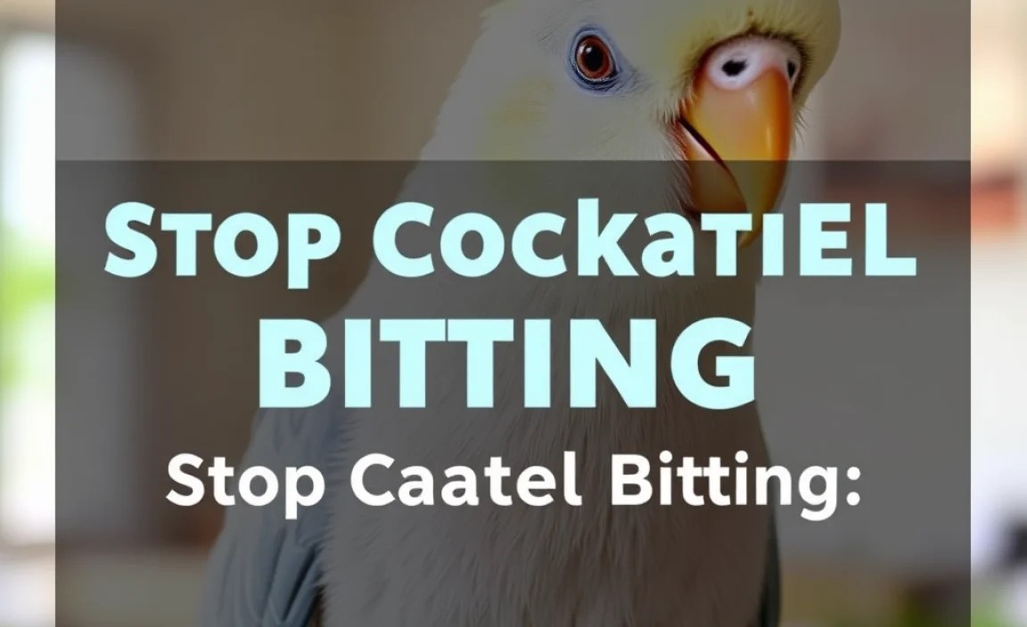 Stop Cockatiel Biting: Effective Tips And Tricks
