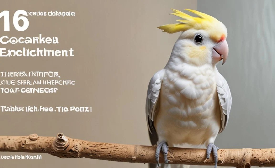 Environmental Enhancements