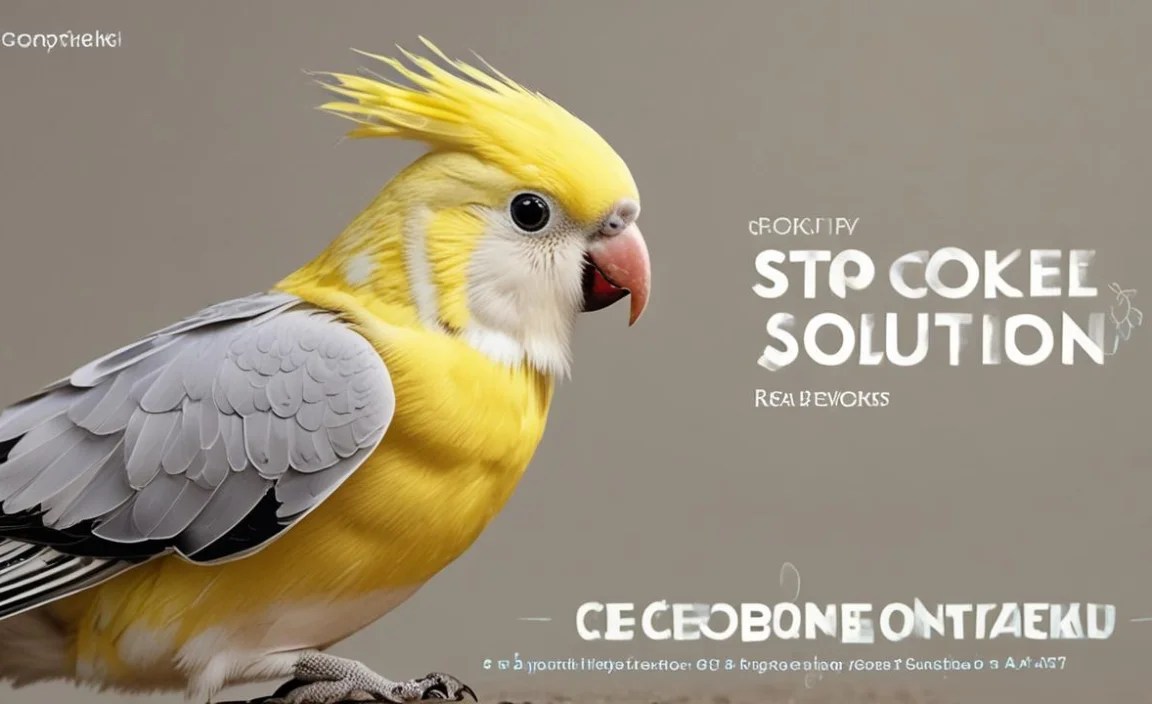Stop Cockatiel Boredom: Easy Behavior Solutions
