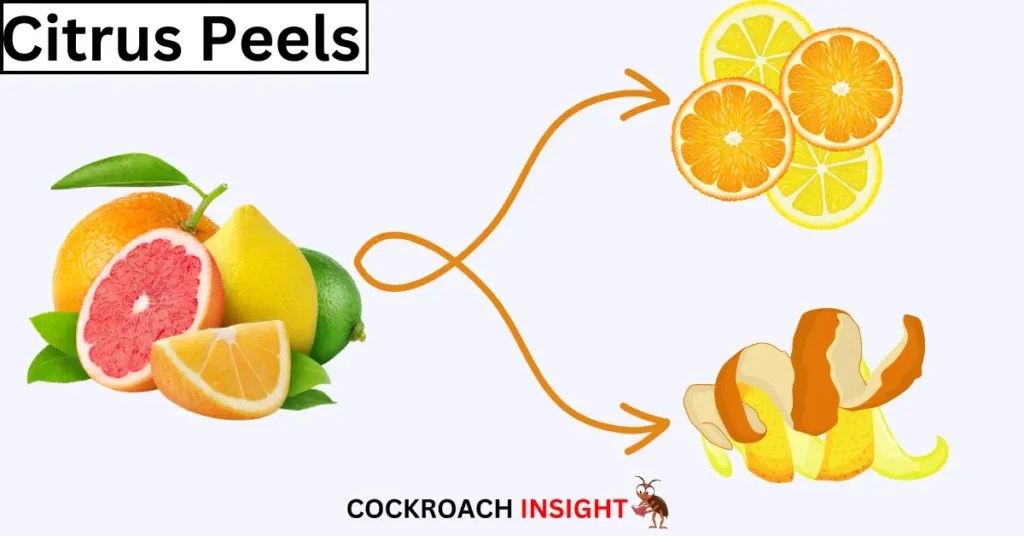 The Best Scents That Repel Cockroaches 15