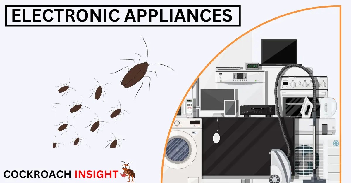 The Surprising Hiding Places Of Cockroaches 8