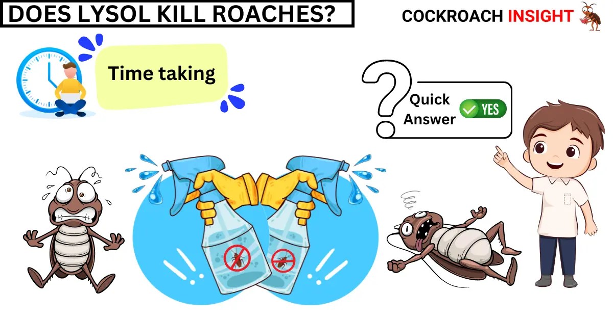 Can Lysol Kill A Roach? 3