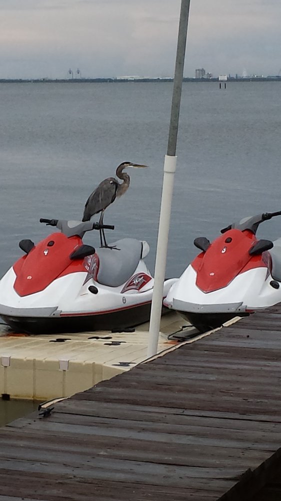 Cocoa Beach Jet Ski Rental Coupon 30/1 Hour/2 Jet Skis