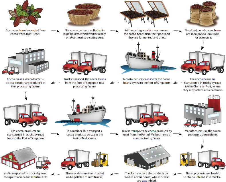 Supply Chain Cocoa Beans