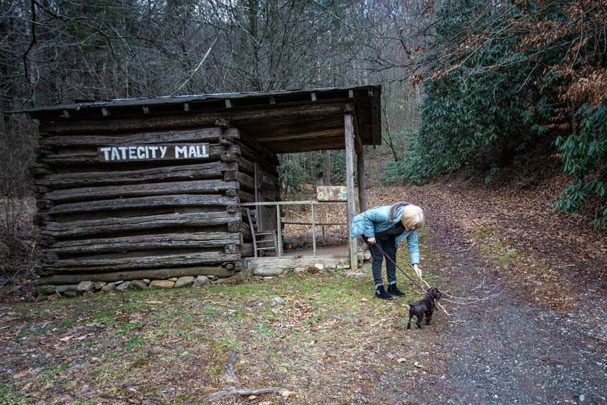 Tate City Adventure with Wessy Cocoa Smiles
