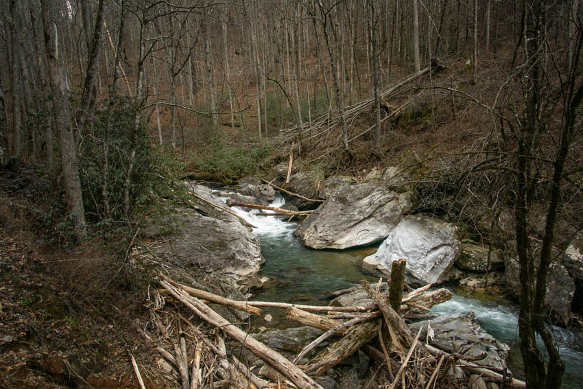 Tate City Adventure with Wessy Cocoa Smiles