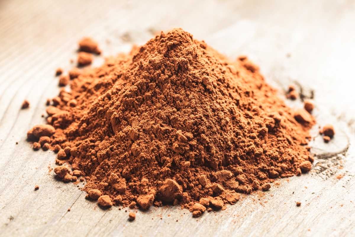 Cocoa Powder Extract Benefits, Dosage & Side Effects Indonesian