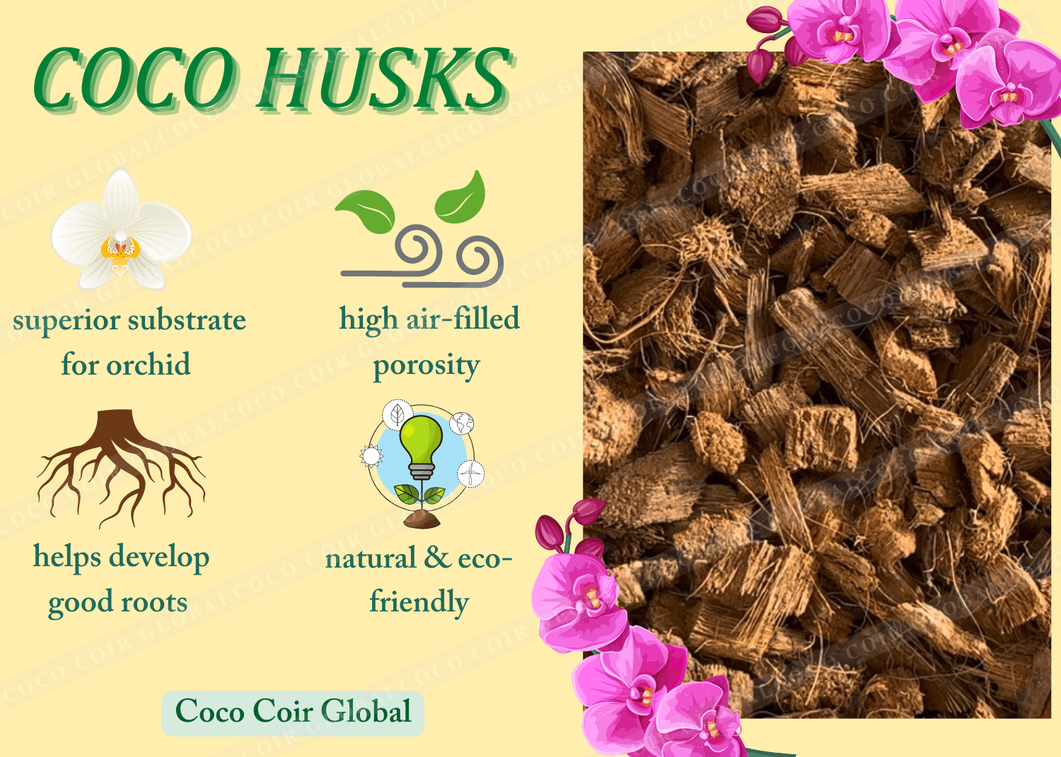 Growing Orchids Coconut Husk vs Sphagnum Moss