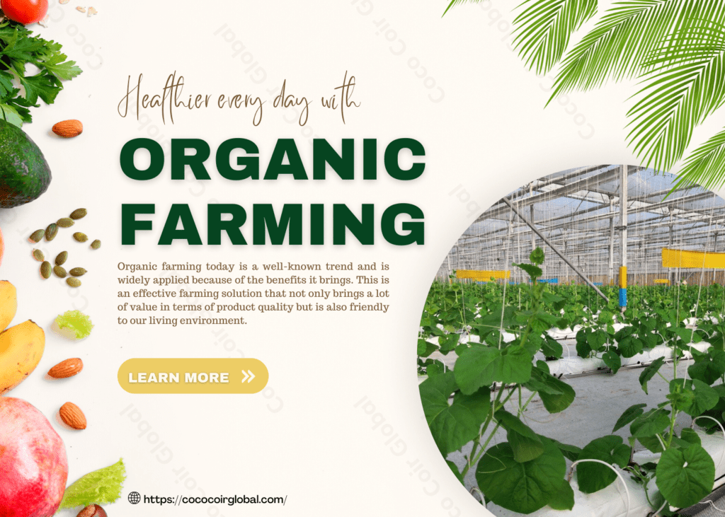 What is organic farming? Features, Roles and Benefits