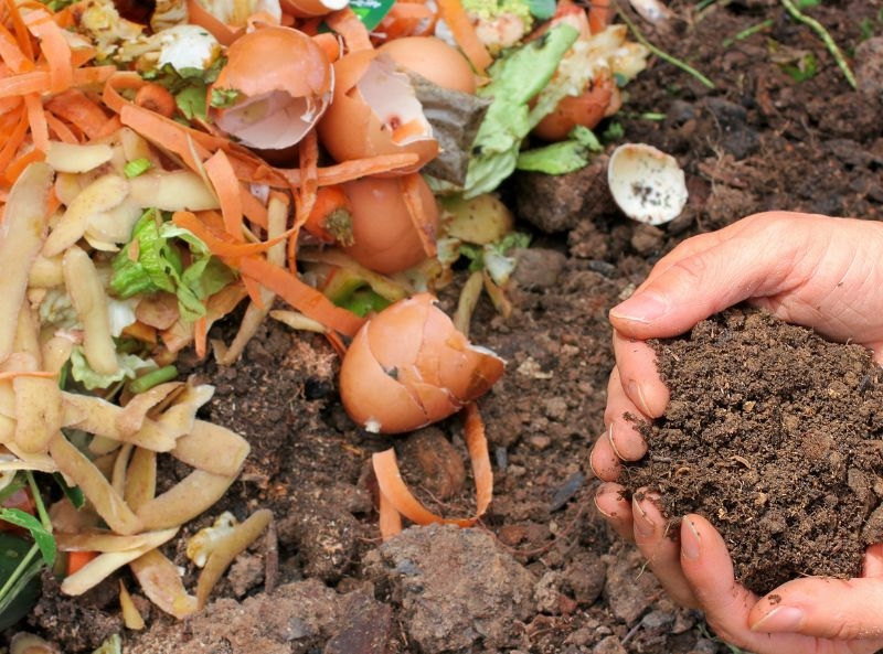 Compost to Soil What is Composting and Its Impact on Soil Health