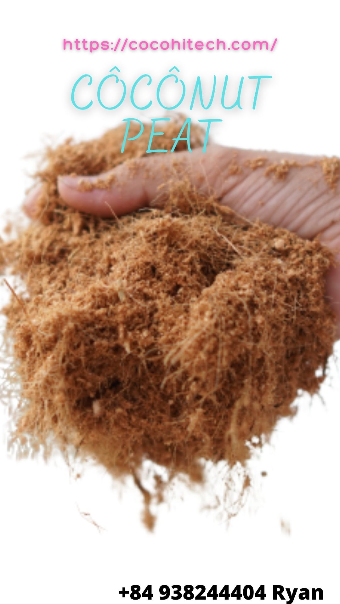 Coco peat for growing plants COCO HITECH JSC COCO HITECH
