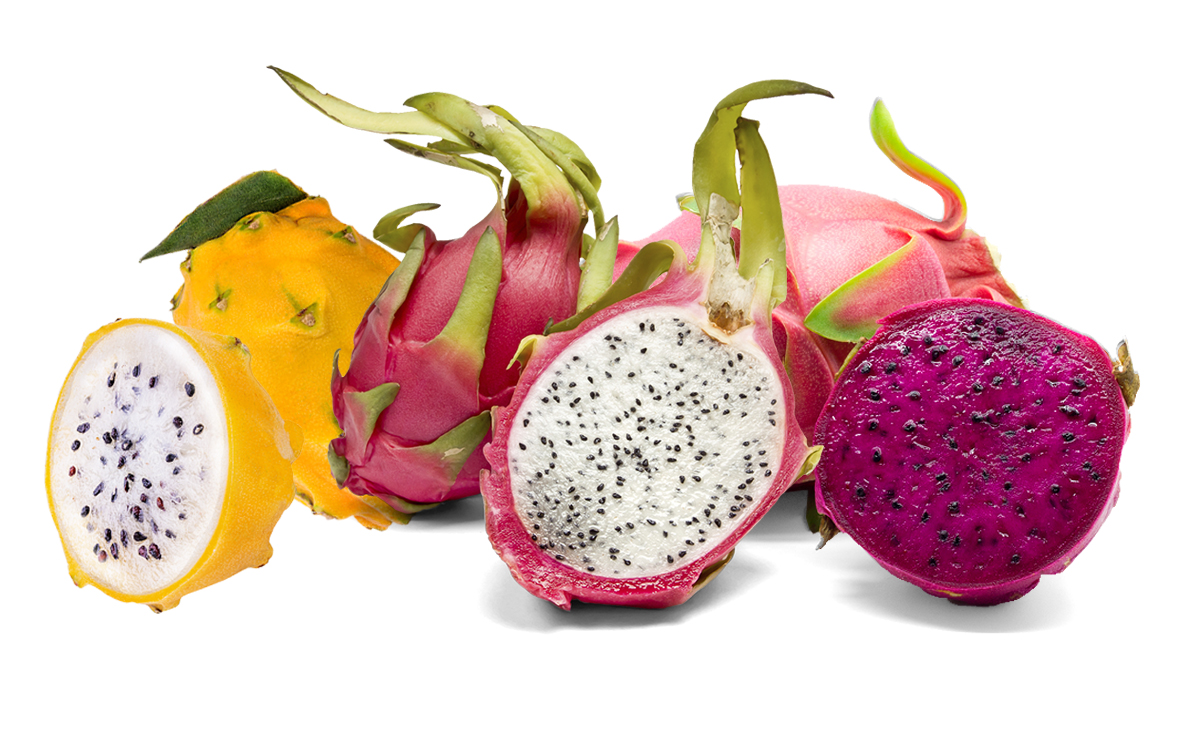 Different type of dragon fruit, Vietnam dragon fruit for export COCO