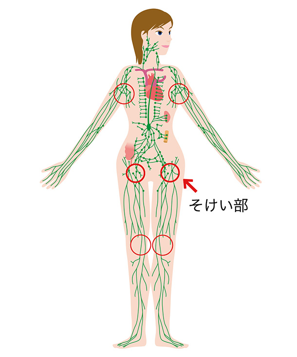 リンパが集まる「そけい部」のトレーニングで引き締まった下半身を手に入れる！｜CoCoKARAnext（ココカラnext）