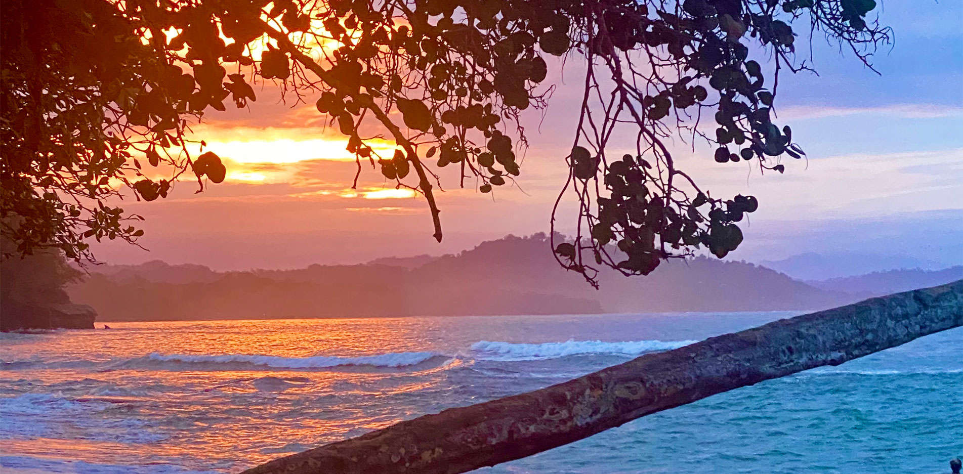 COCONUT CASAS Build Your Villa in Puerto Viejo