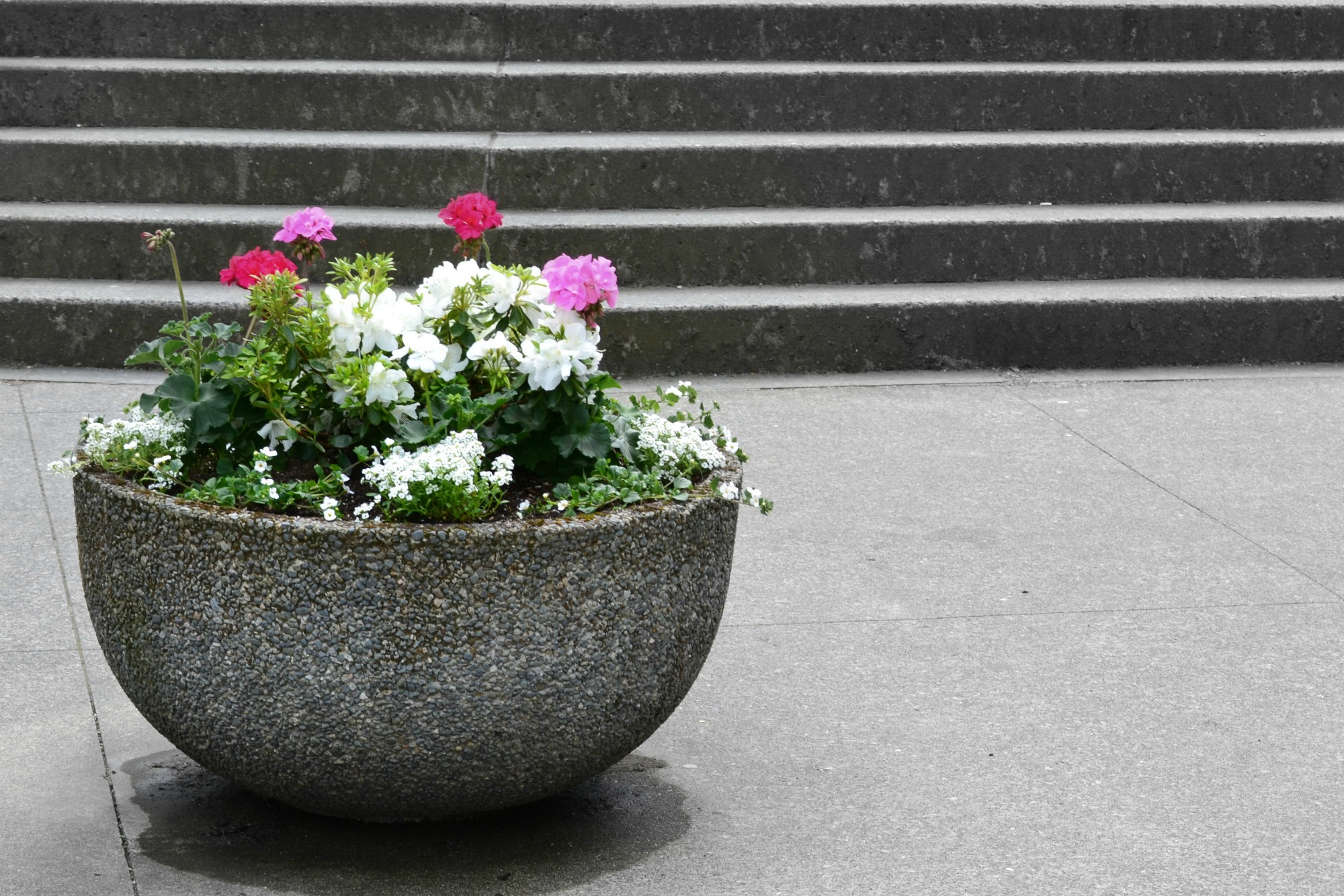 Exterior Landscaping Coconut Grove