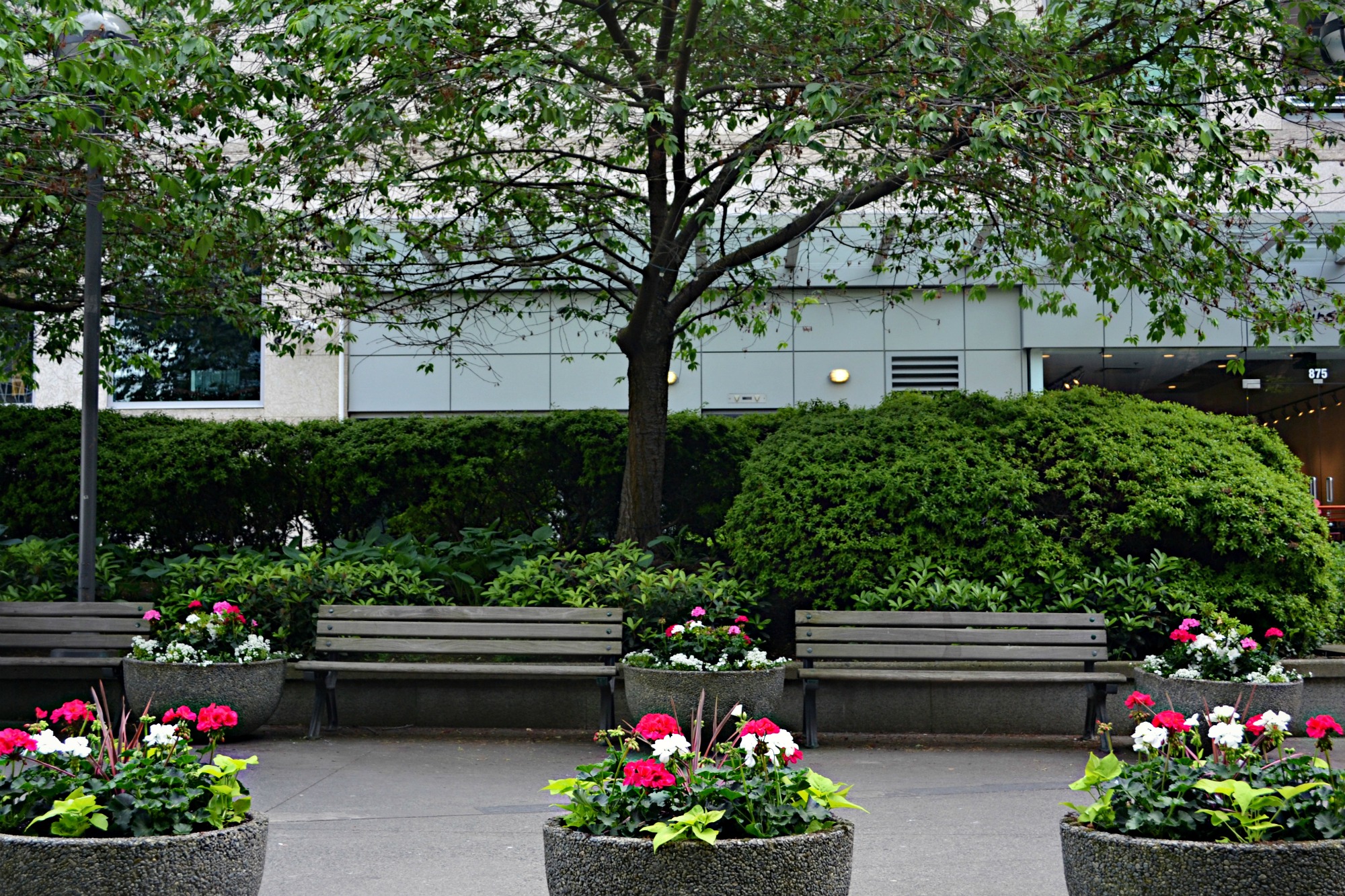 Exterior Landscaping Coconut Grove