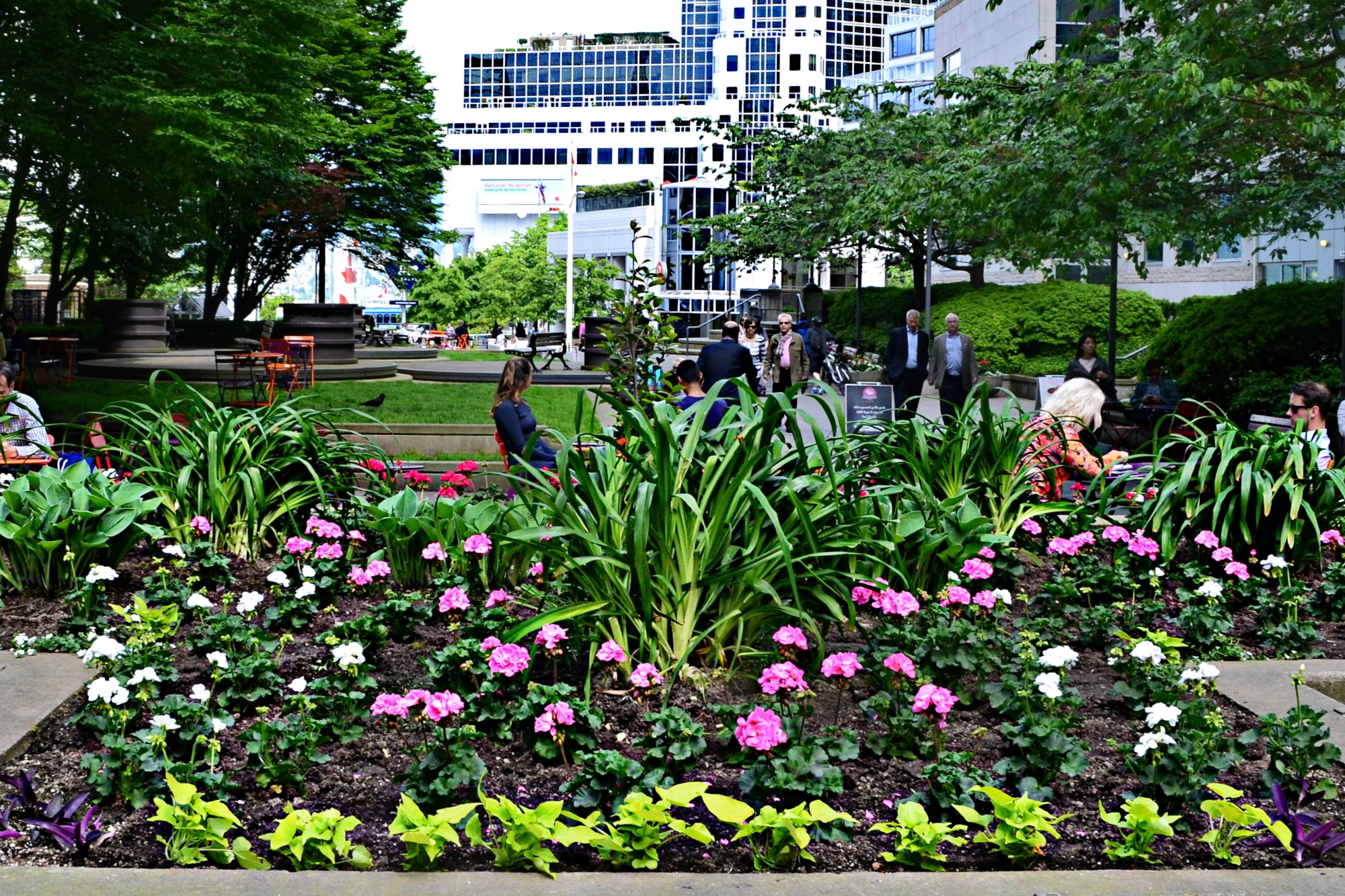 Exterior Landscaping Coconut Grove