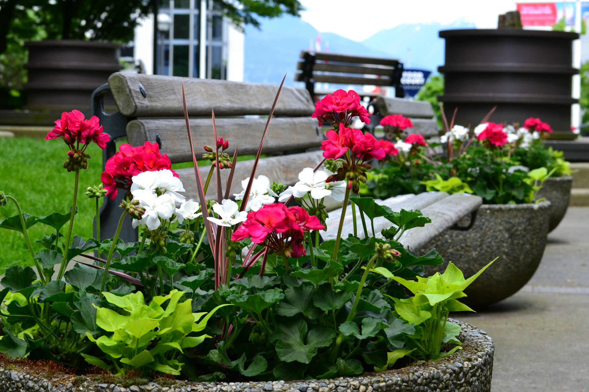 Exterior Landscaping Coconut Grove