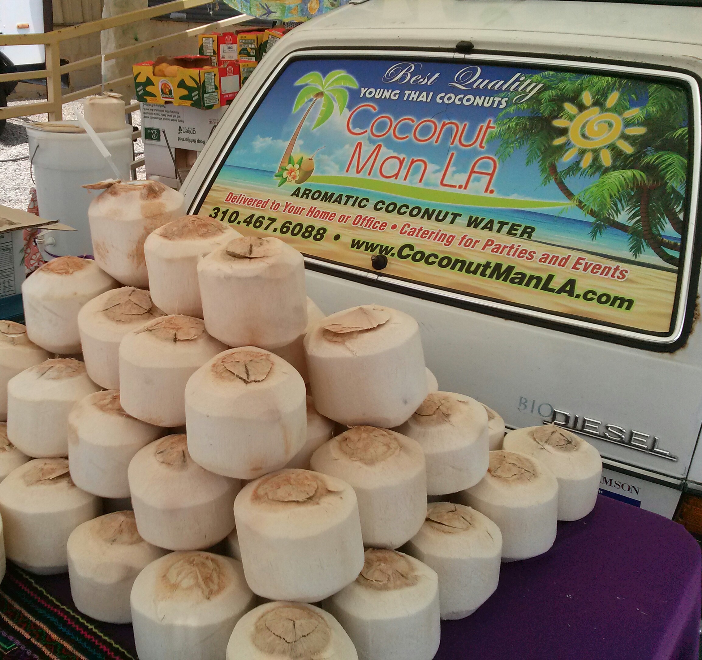 12 Coconuts Pre cut Strawready Coconut Man LA