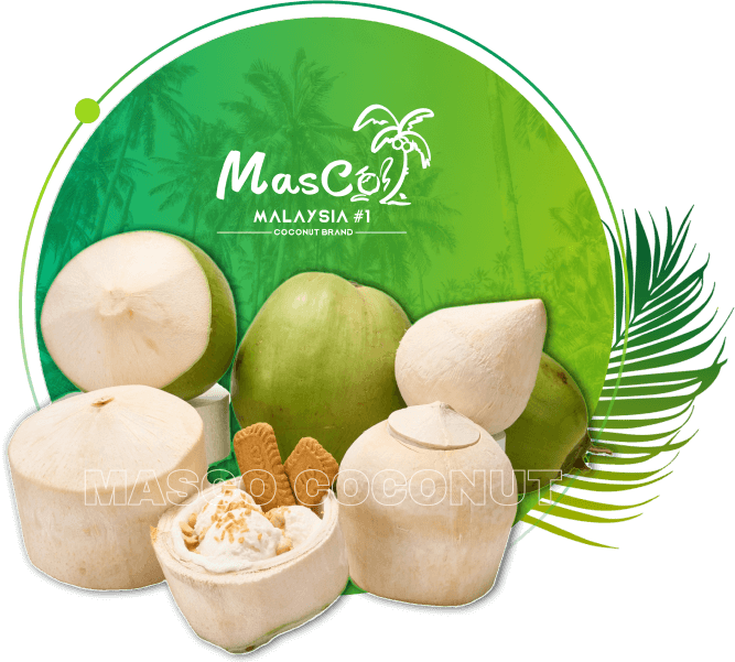 Malaysia’s 1 Coconut Supplier Coconut Masco