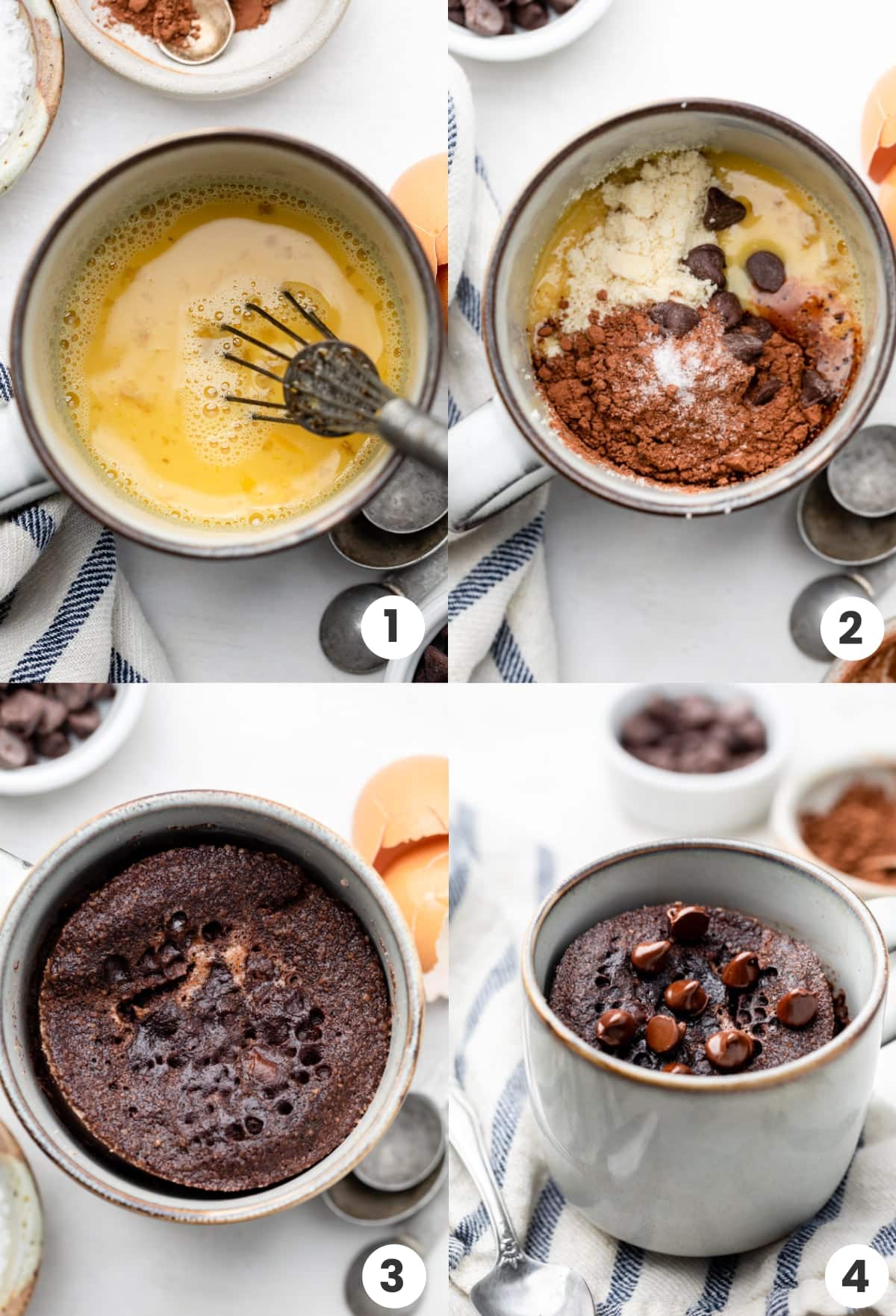 5+ Mug Cake Healthy Recipe EvaaSagnik
