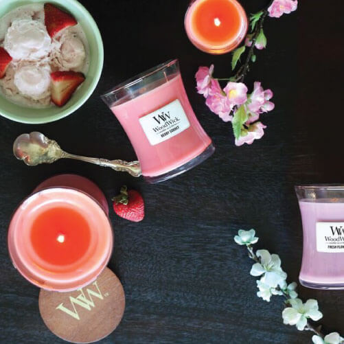 Bougie parfumée Woodwick ellipse Teck blanc PROMO SEPTEMBRE Cocoonly