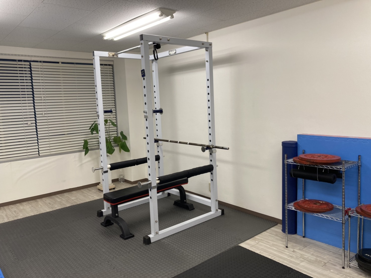 THE PERSON レンタルジム 大阪・梅田東｜ここスポ スポーツ庁