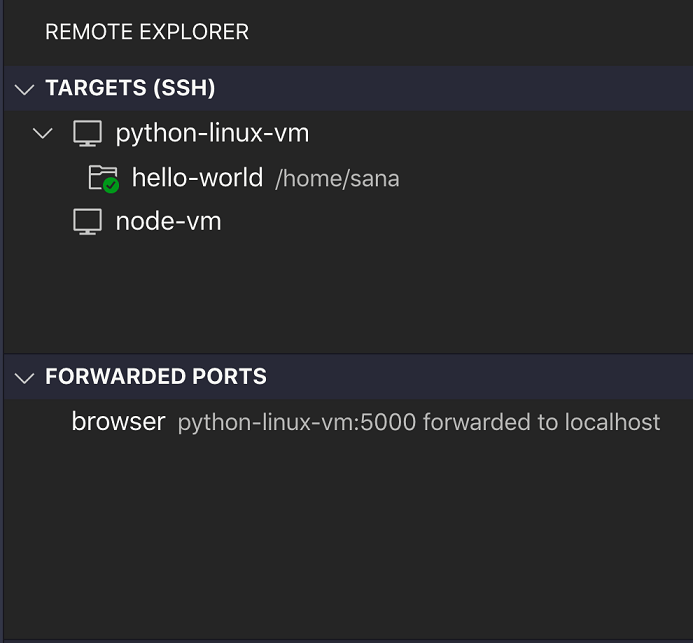 Vscode remote ssh config