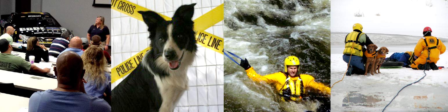 sally frye Code 3 Associates