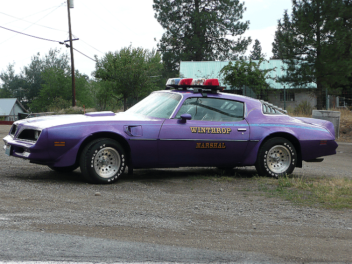 Winthrop Marshall 1977 Pontiac Trans Am Code 3 Garage