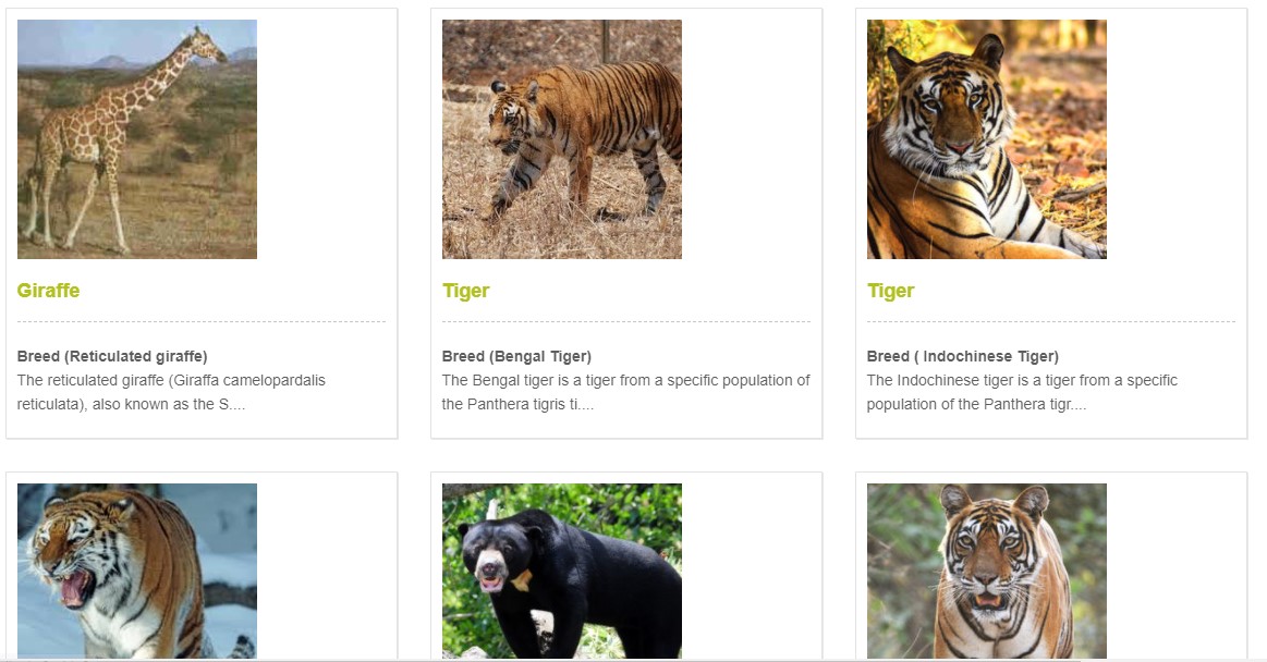 Zoo Management System Project in PHP Zoo Management System Project