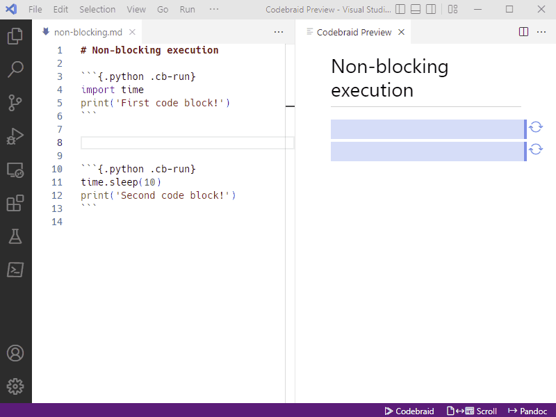 Code execution Codebraid Preview — SciPy 2022