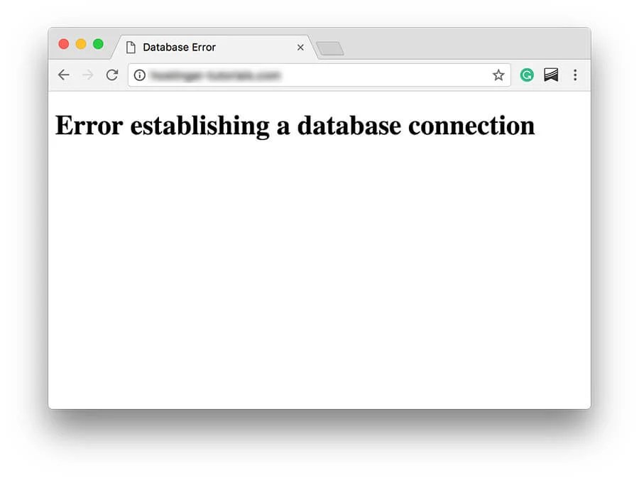 Learn How to Fix Database Connection Error in Login  Development
