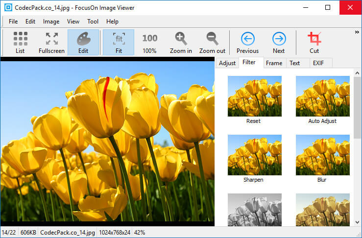 Focuson Image Viewer Portable 1.27 Free Download