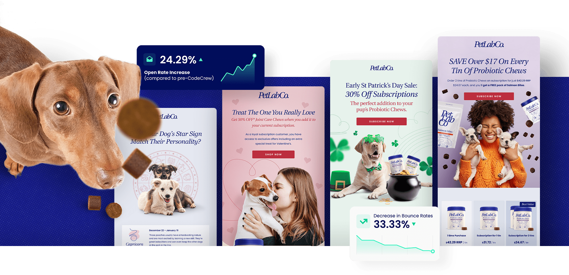 Email Campaign Case Study PetLab Co CodeCrew