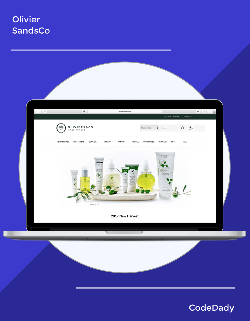 Best Web Designing Company in Kerala Website Development Company